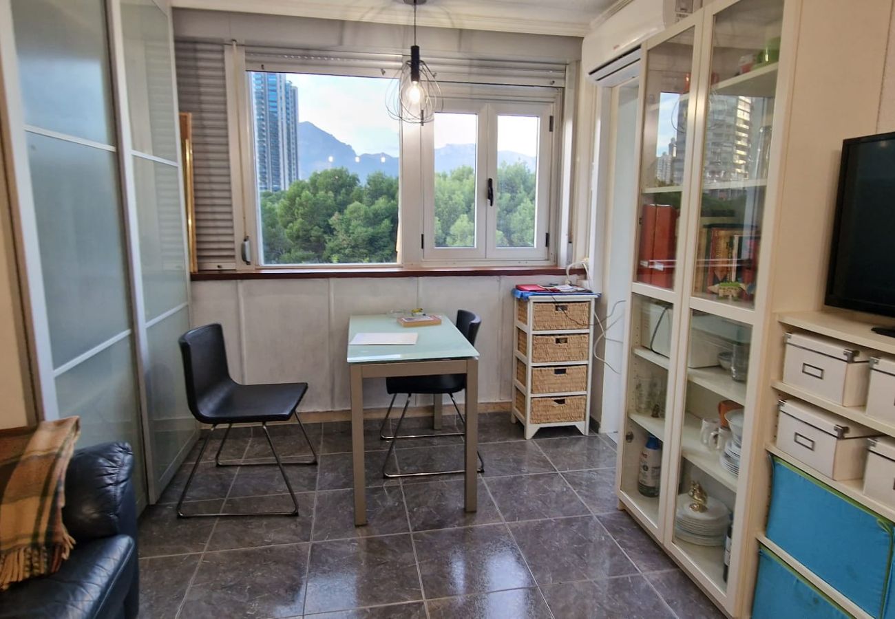 Studio in Benidorm - SERVIHOTEL 306B