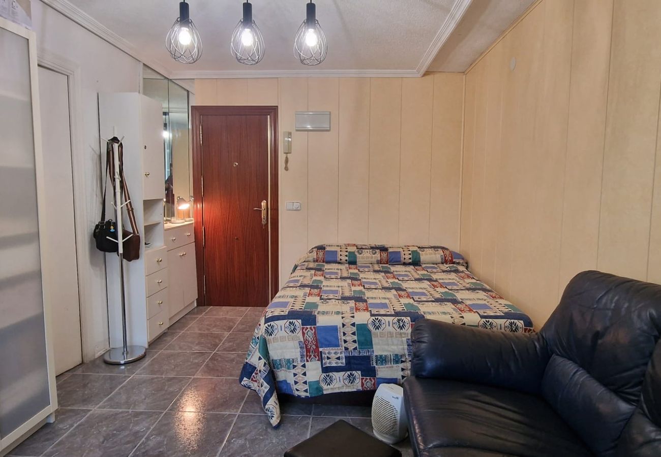 Studio in Benidorm - SERVIHOTEL 306B