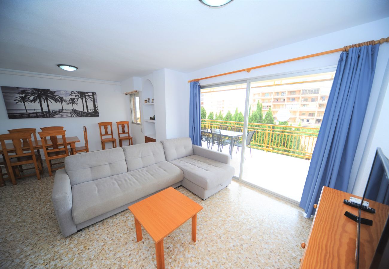 Apartment in Benicàssim - BENIPAL III-2-154