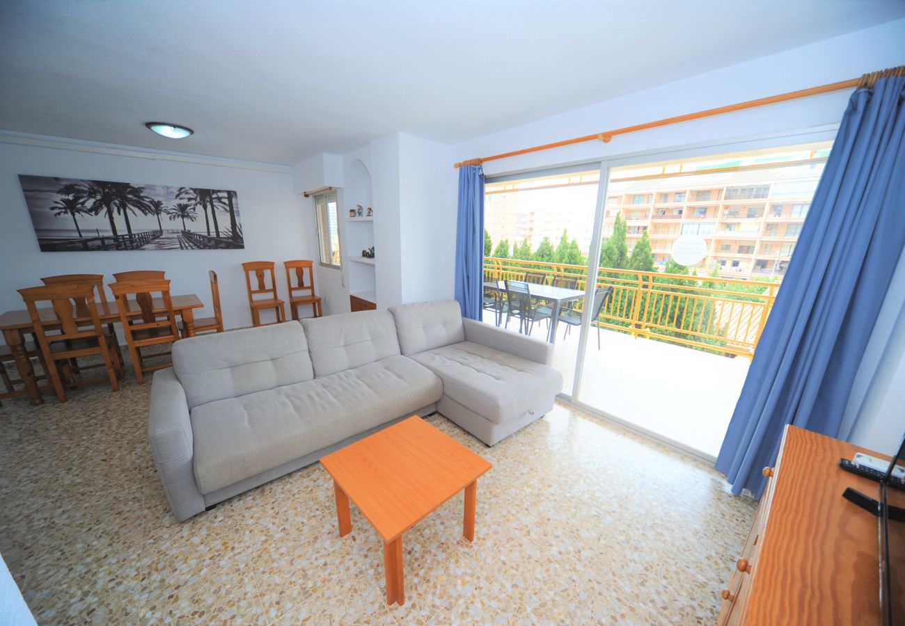 Apartment in Benicàssim - BENIPAL III-2-154