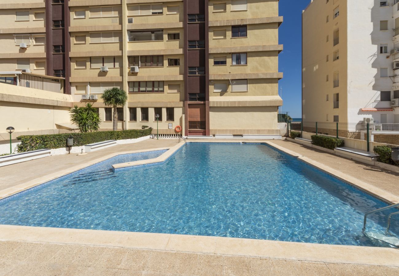 Apartment in Playa de Gandía - 19. AG ALBATROS 11 PREMIUM