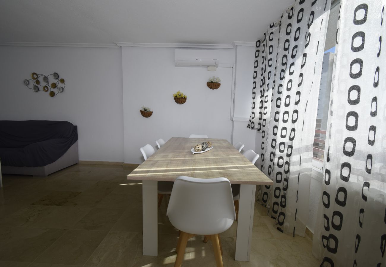 Apartment in Benidorm - PINTOR ROSALES 16B