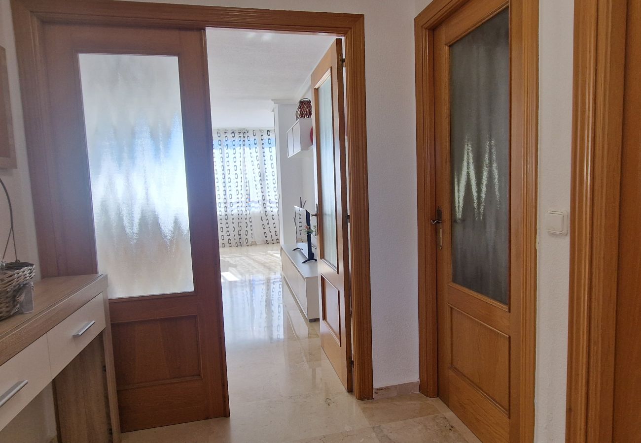 Apartment in Benidorm - PINTOR ROSALES 16B