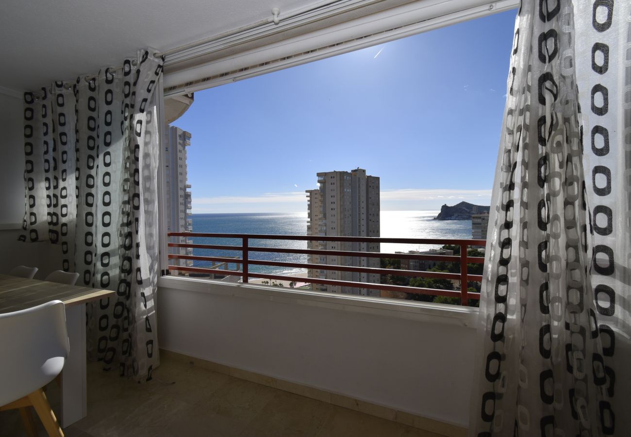 Apartment in Benidorm - PINTOR ROSALES 16B