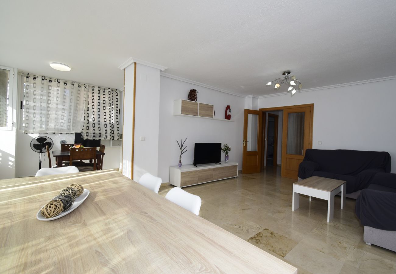 Apartment in Benidorm - PINTOR ROSALES 16B