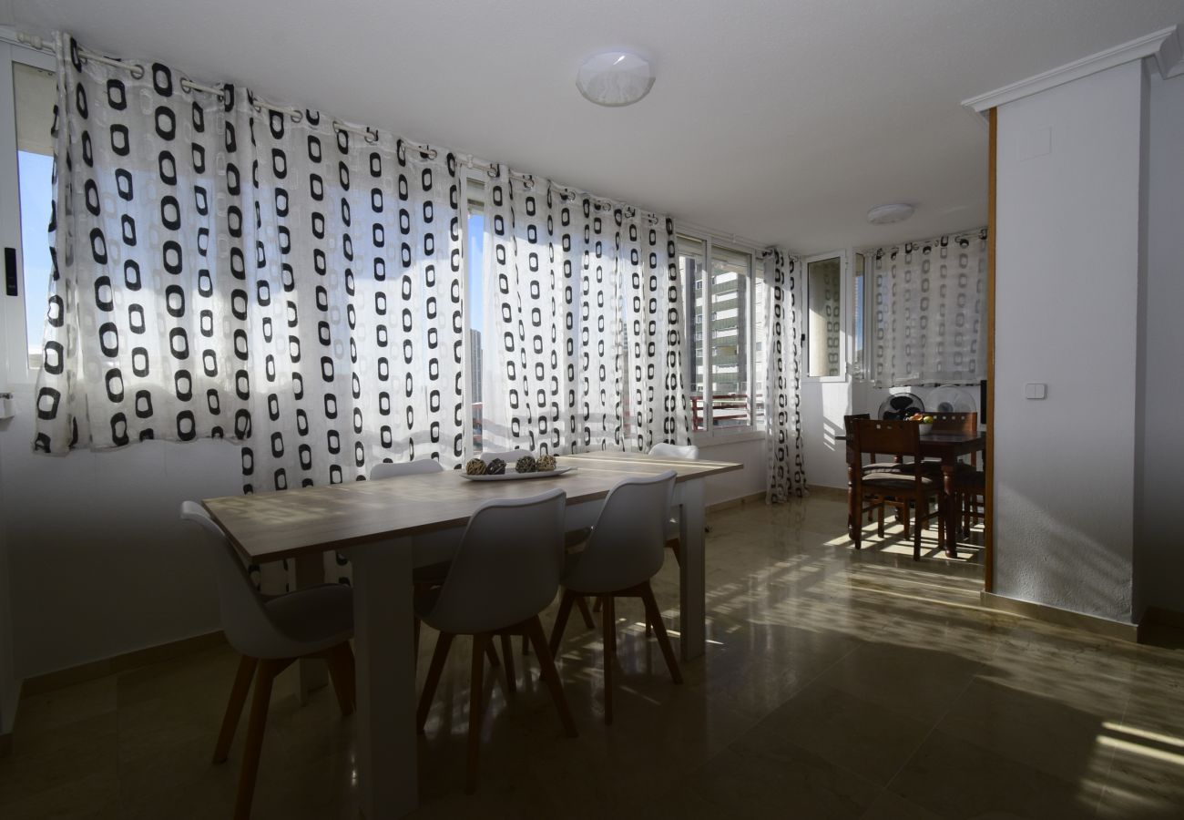 Apartment in Benidorm - PINTOR ROSALES 16B