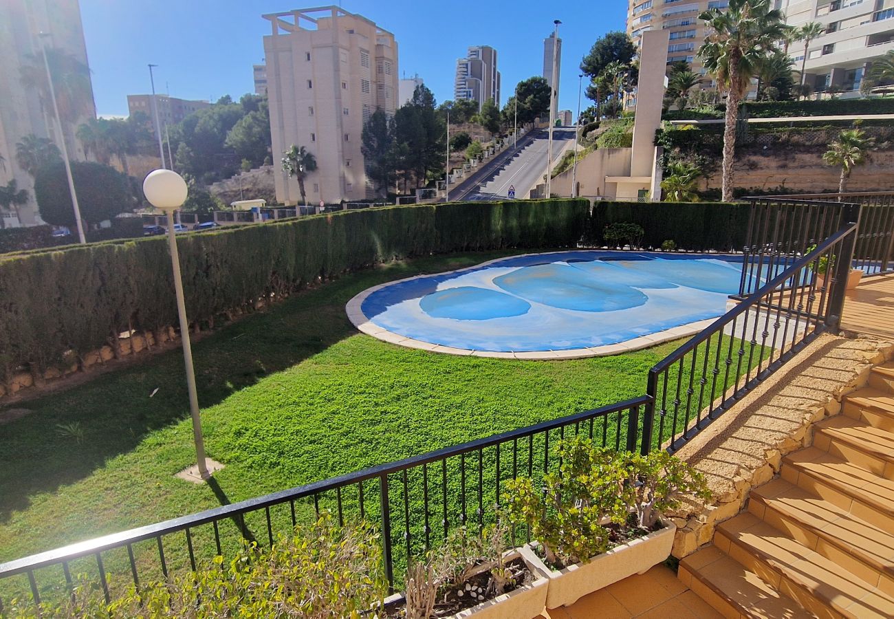 Apartment in Benidorm - PINTOR ROSALES 16B