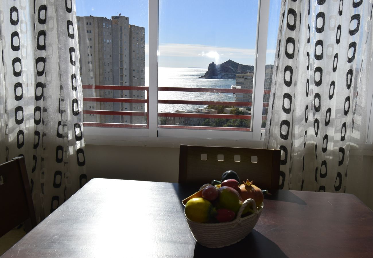 Apartment in Benidorm - PINTOR ROSALES 16B