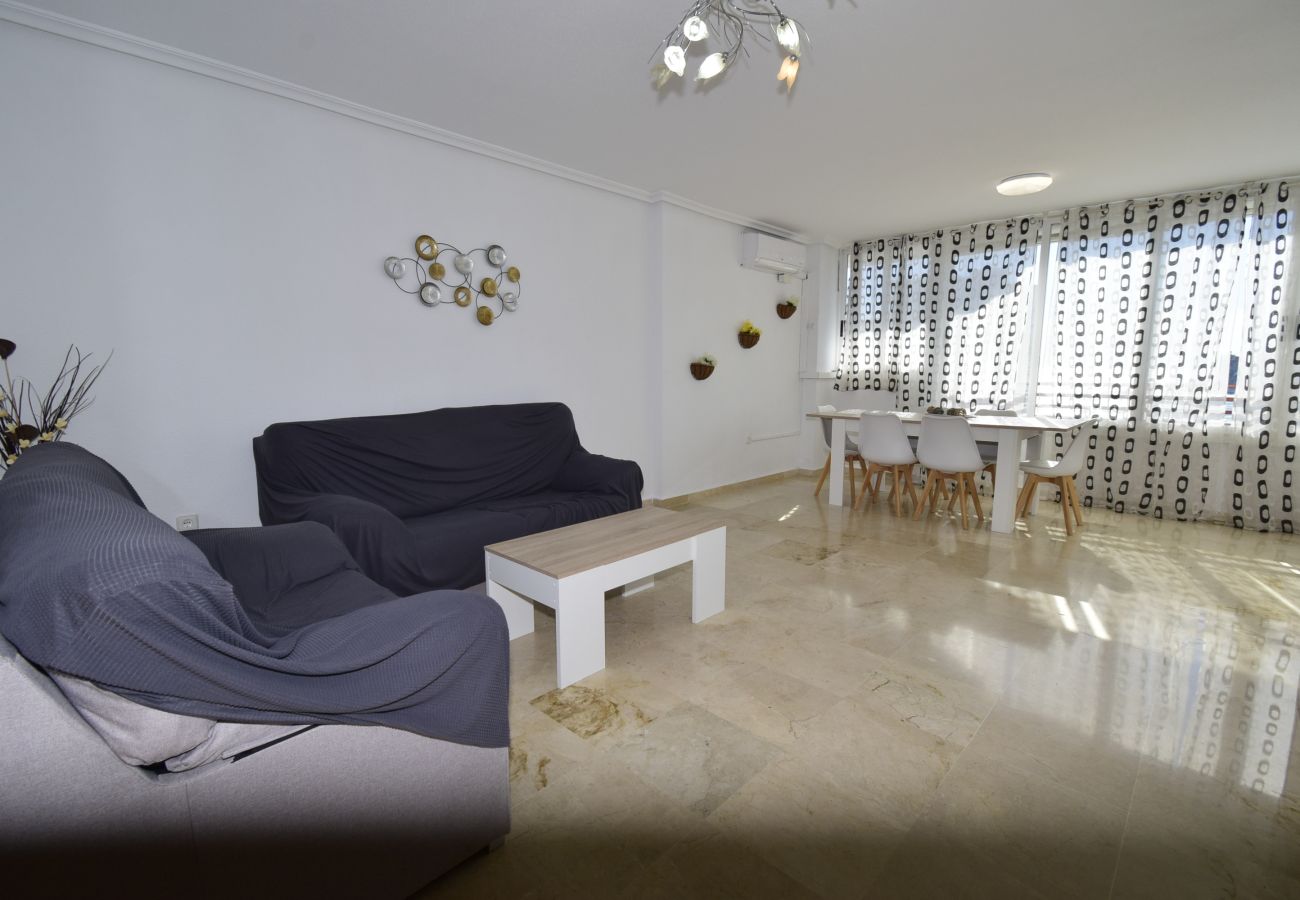 Apartment in Benidorm - PINTOR ROSALES 16B