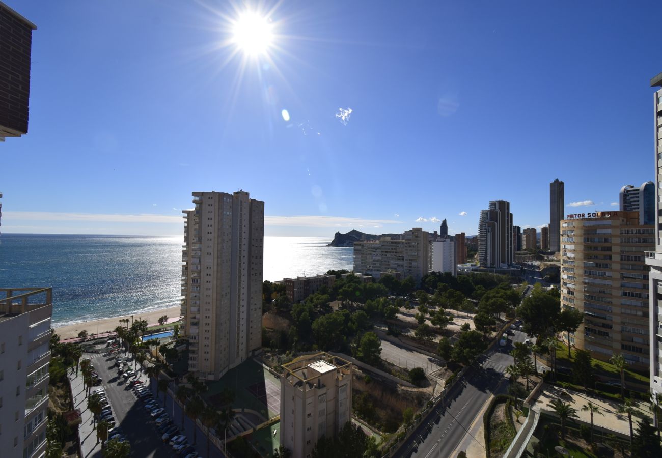 Apartment in Benidorm - PINTOR ROSALES 16B