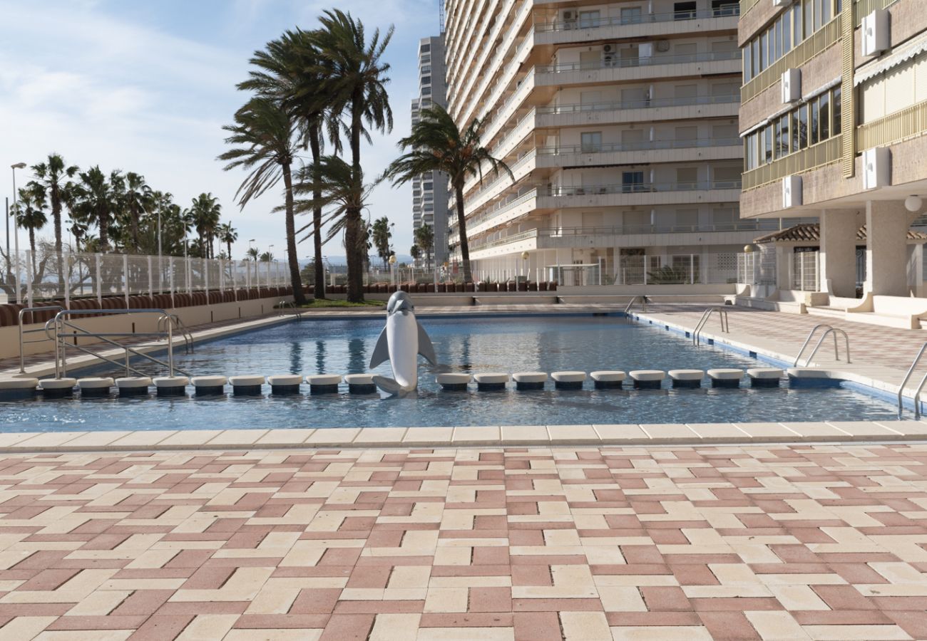 Apartment in Cullera - ARENSOL ESC-B3, 15º-44