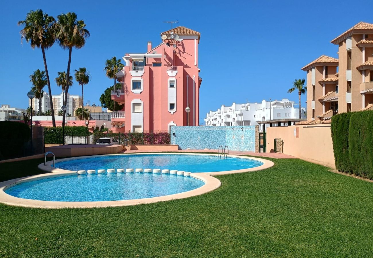 Apartment in Denia - 160 Playasol IV