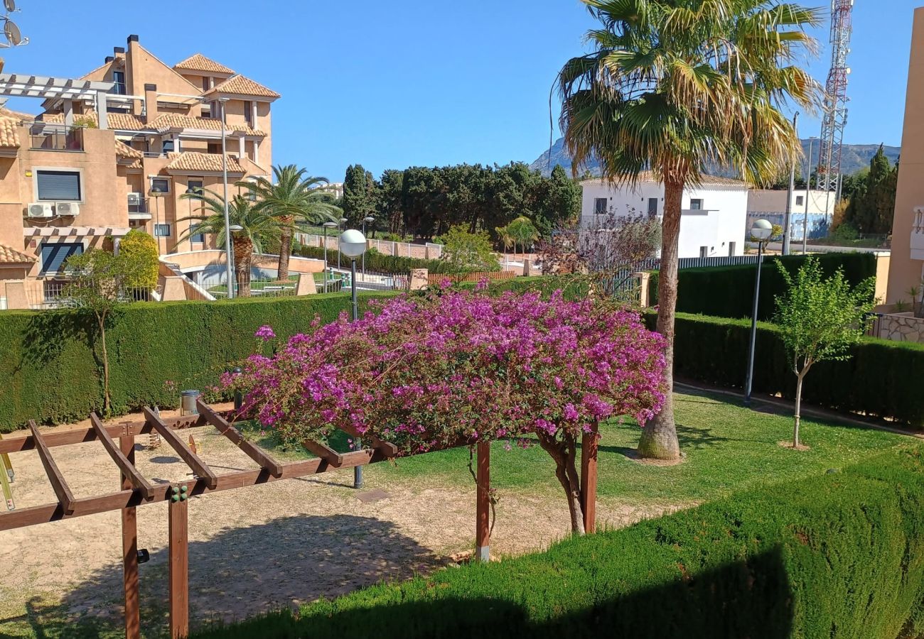 Apartment in Denia - 160 Playasol IV