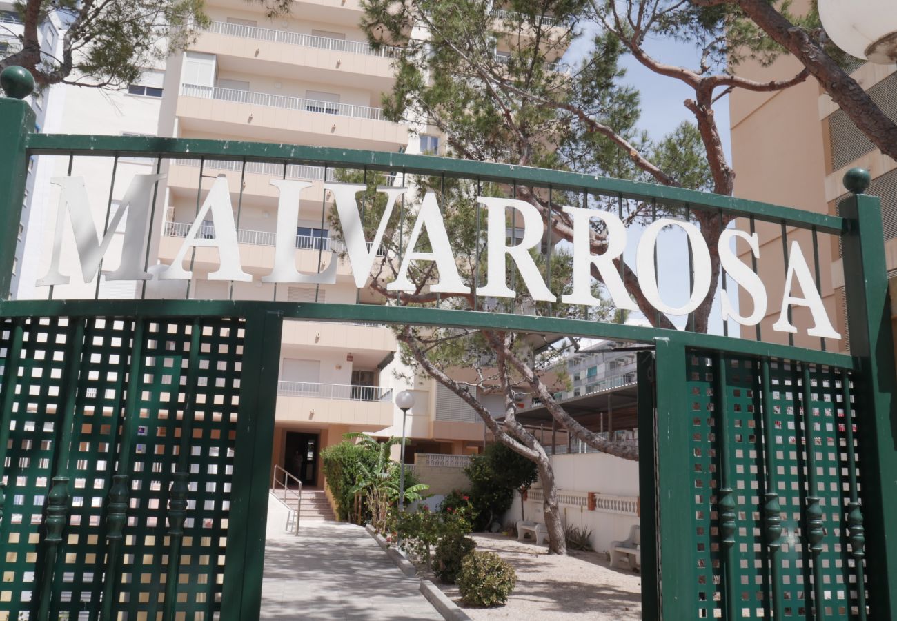 Apartment in Cullera - MALVARROSA, 1º-6