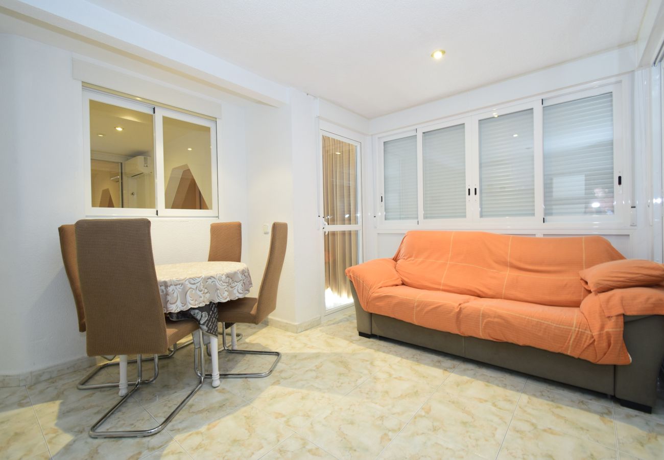 Apartment in Benidorm - ALBATROS 13-1