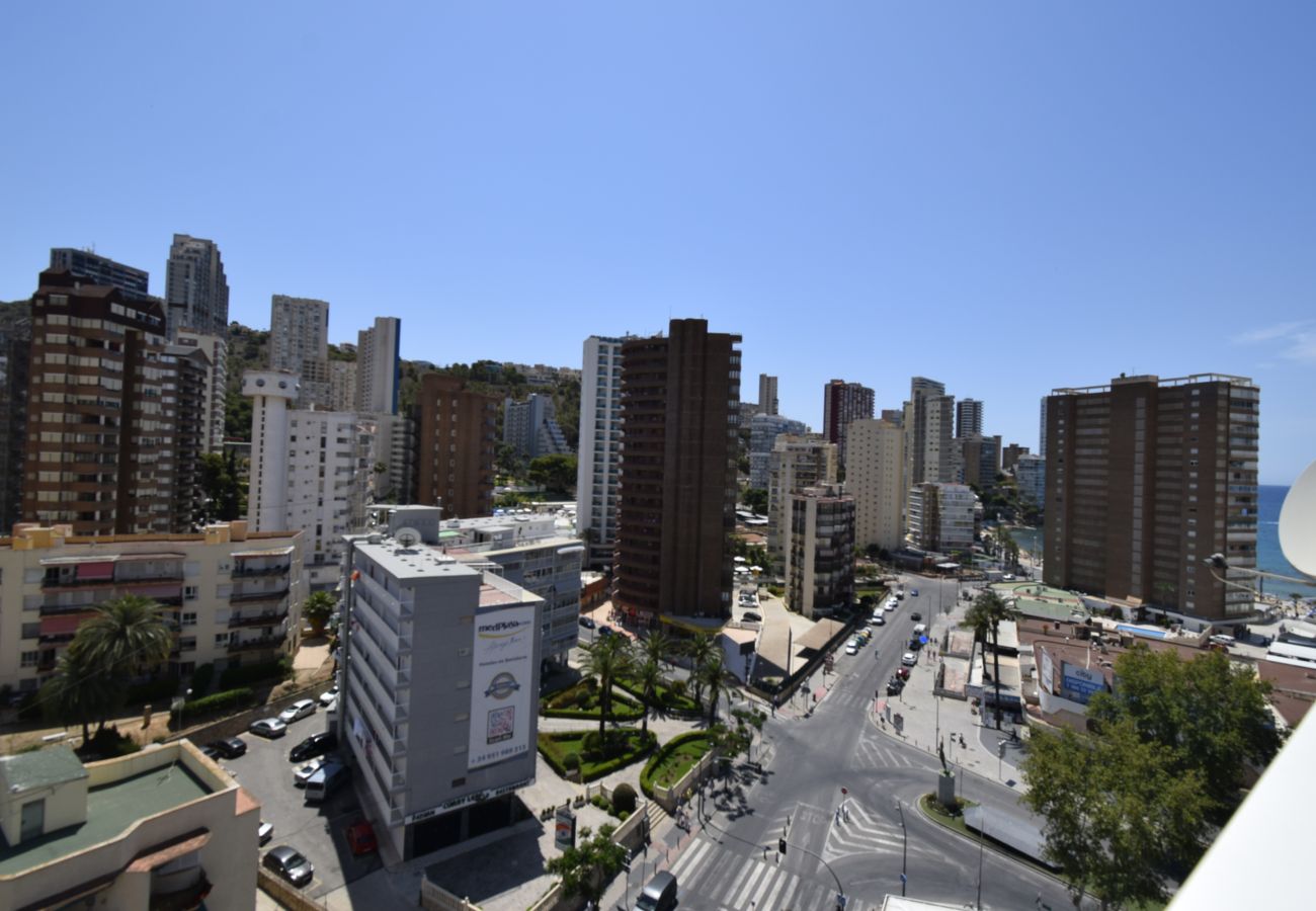 Apartment in Benidorm - ALBATROS 13-1