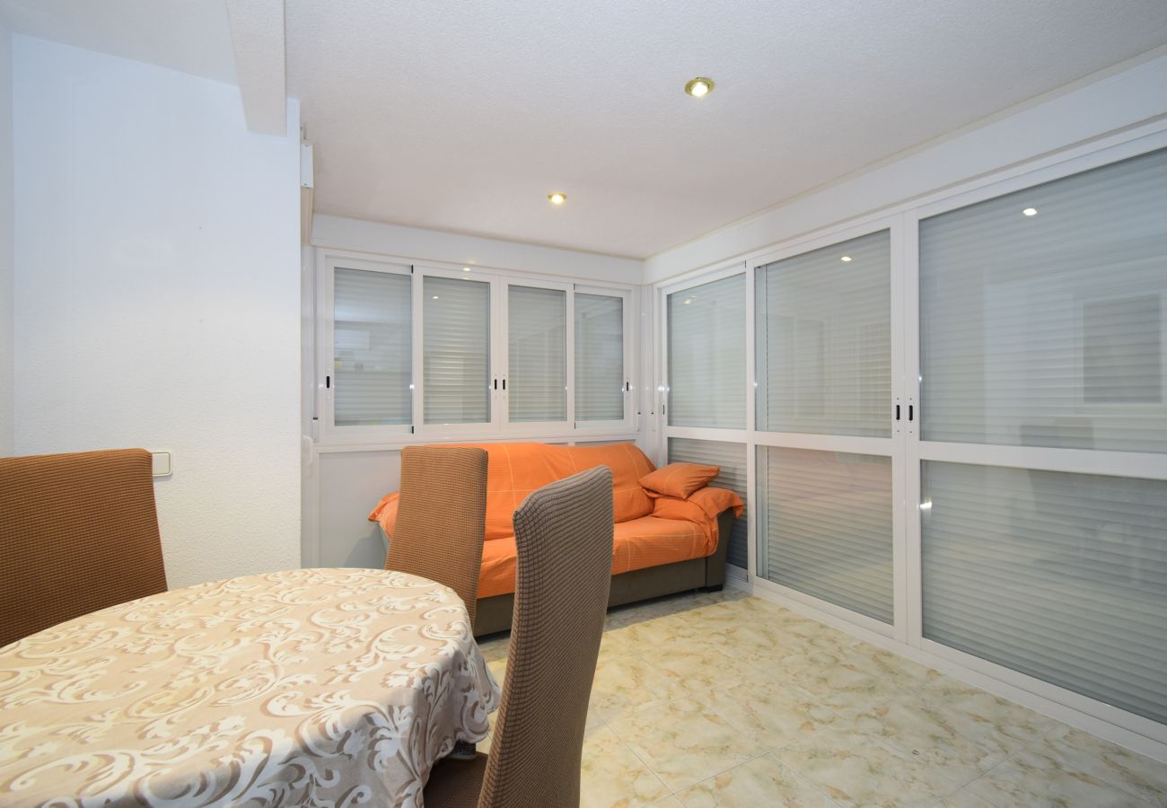 Apartment in Benidorm - ALBATROS 13-1