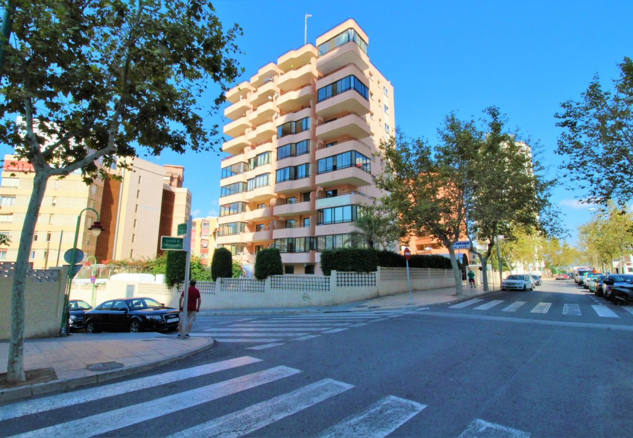 Apartment in Benidorm - CADIZ 4B