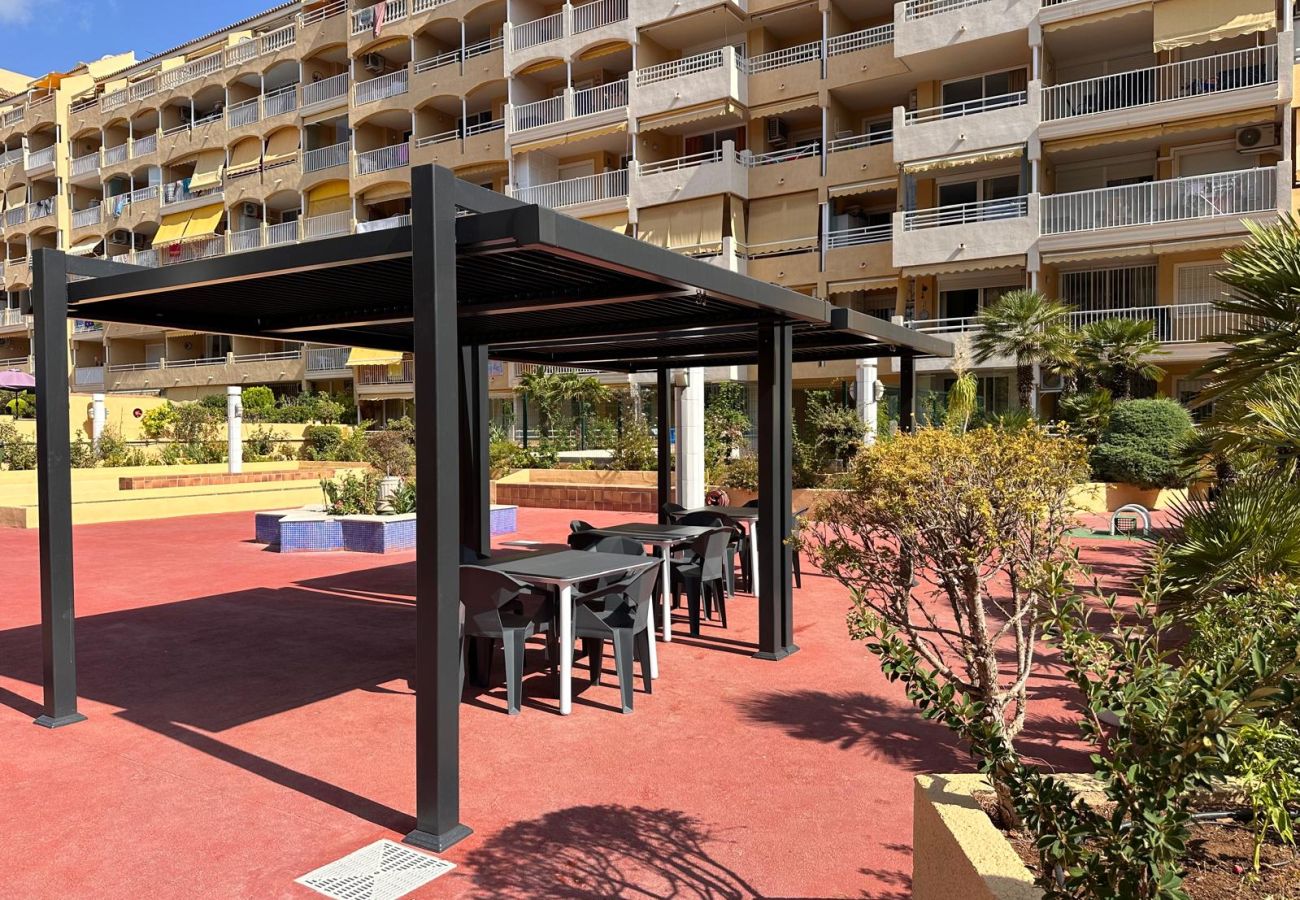 Apartment in Calpe / Calp - AT357 APOLO 7 2D