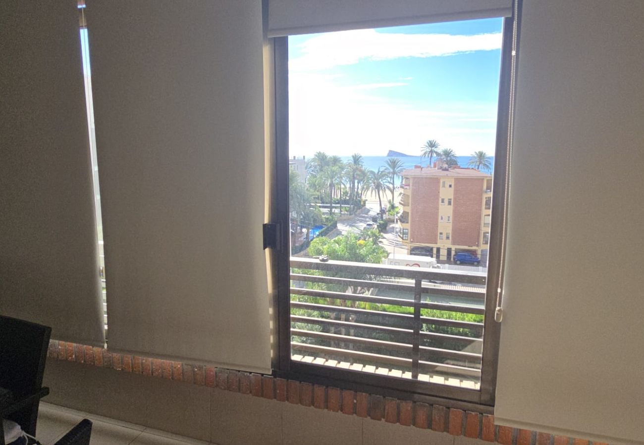 Apartment in Benidorm - CASTELMAR 1C